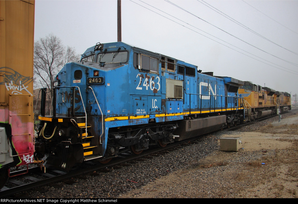 Identity Crisis : Blue Bird